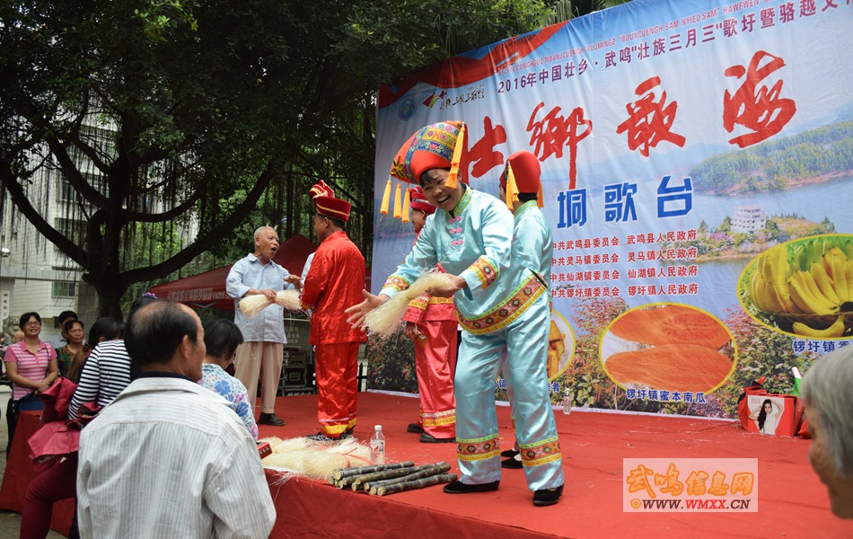 武鸣壮乡歌海