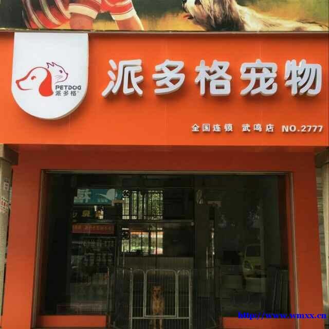 派多格宠物武鸣店招聘