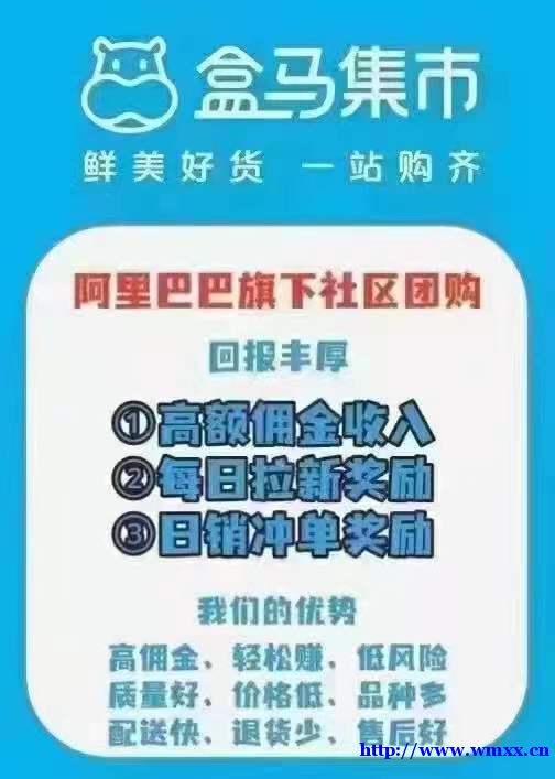 阿里巴巴旗下盒马集市招募团长啦！